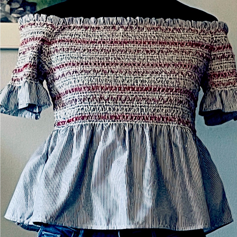 Style Envy fit and flare rouched top